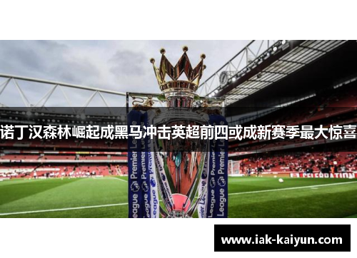 诺丁汉森林崛起成黑马冲击英超前四或成新赛季最大惊喜